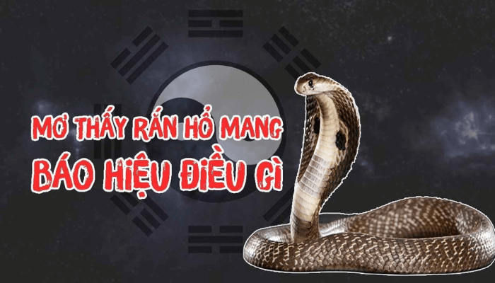 Mơ thấy rắn hổ mang