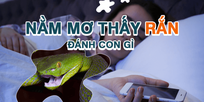 Mơ thấy rắn hổ mang